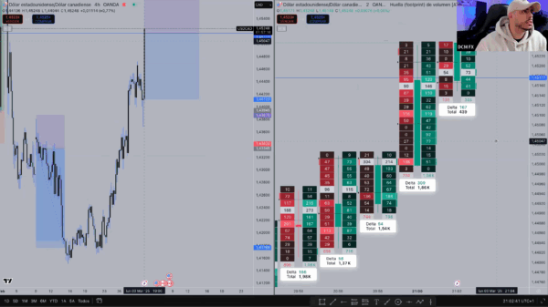 DCM FX PRO TRADER 2.0 (2025) - Imagen 11
